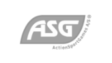 ASG Airsoft